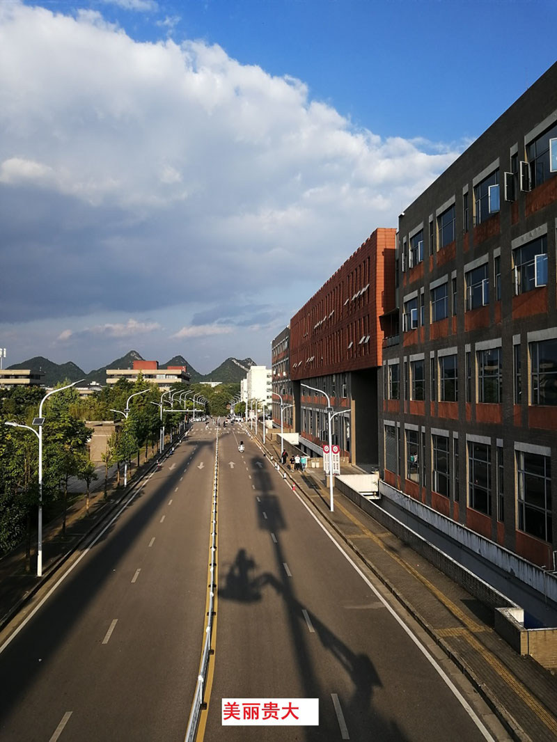 貴州某高校為本校區(qū)內(nèi)600多盞路燈更換LED燈頭及加裝太陽能LORA調(diào)光控制模塊，達(dá)到了節(jié)能和智能控制的目的。(圖1)